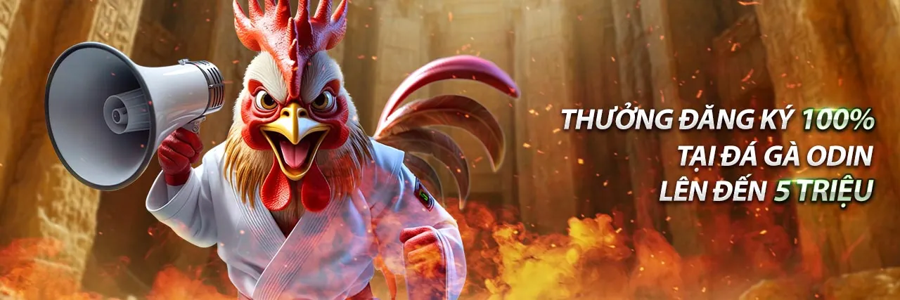 Hình ảnh chính blog PK8 Đăng Ký